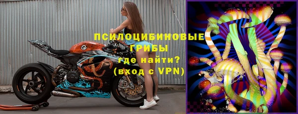 прущие крисы Алзамай
