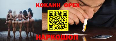 крисы Обь