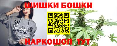 стаф Новозыбков