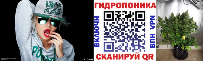 Шишки марихуана план  Санкт-Петербург 